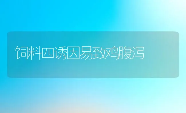 饲料四诱因易致鸡腹泻 | 动物养殖饲料