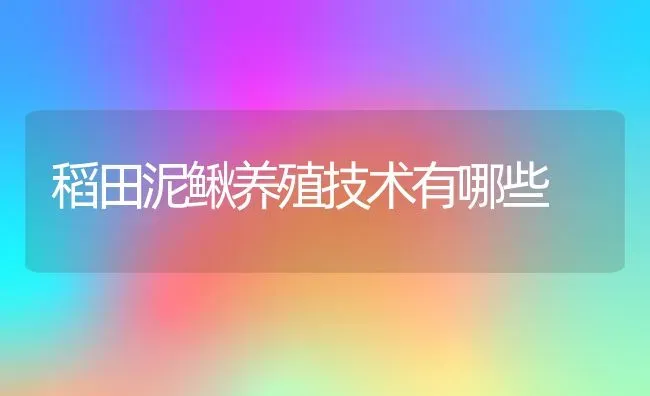 稻田泥鳅养殖技术有哪些 | 动物养殖百科