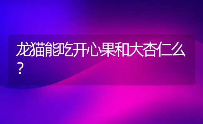 龙猫能吃开心果和大杏仁么？ | 动物养殖问答