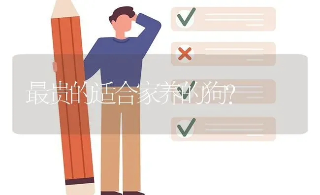 最贵的适合家养的狗？ | 动物养殖问答