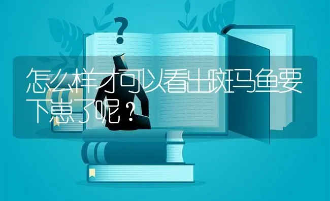 怎么样才可以看出斑马鱼要下崽了呢？ | 鱼类宠物饲养