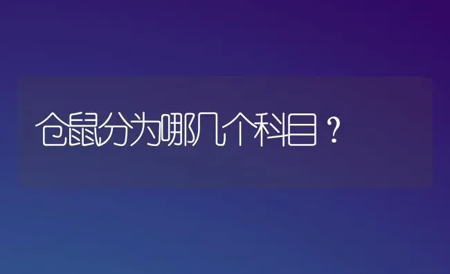 乌龟进食四种方法？ | 动物养殖问答