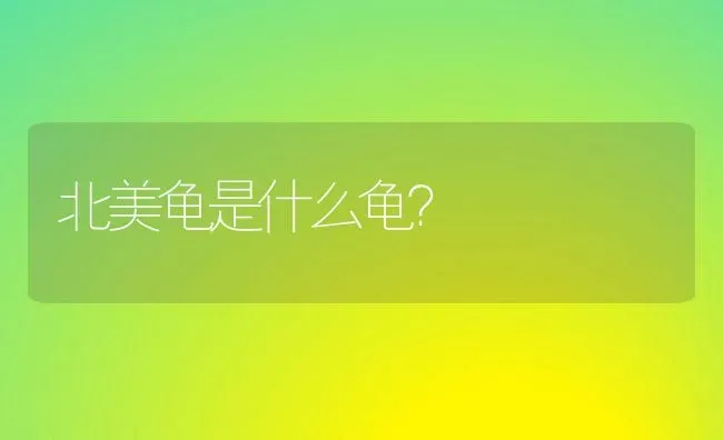 多大的狗算大型犬多小的狗算小型犬什么才算中型犬？ | 动物养殖问答