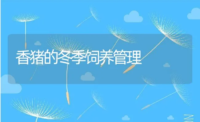 重视家禽预防性用药 | 动物养殖学堂