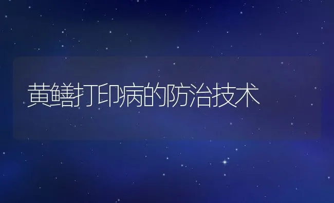 黄鳝打印病的防治技术 | 水产养殖知识