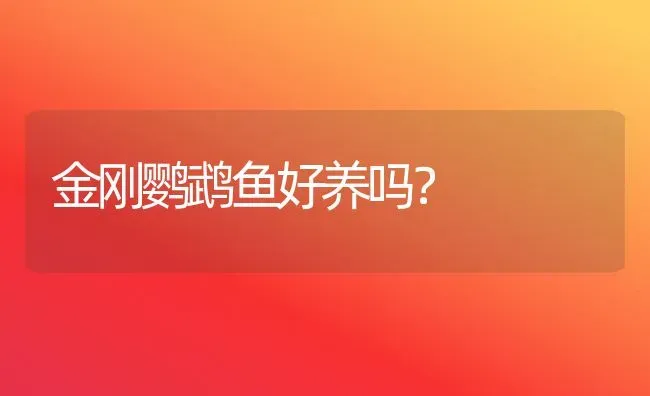 雪纳瑞成长期间的标准体重如何算？ | 动物养殖问答