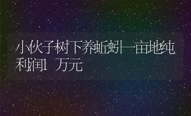 小伙子树下养蚯蚓一亩地纯利润1万元 | 动物养殖百科