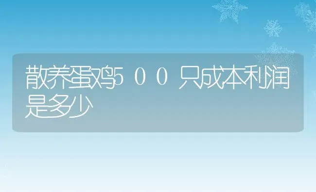 散养蛋鸡500只成本利润是多少 | 动物养殖百科