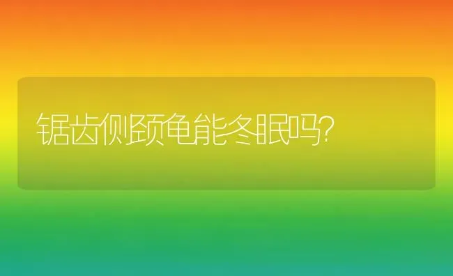 锯齿侧颈龟能冬眠吗？ | 动物养殖问答