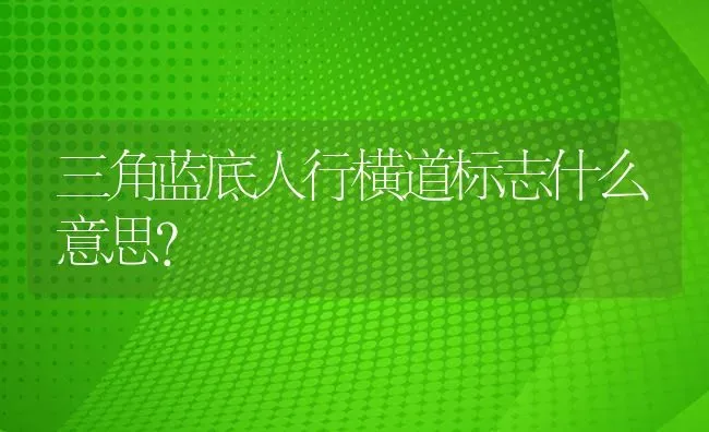 三角蓝底人行横道标志什么意思？ | 鱼类宠物饲养