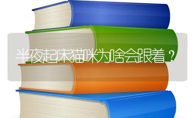 半夜起床猫咪为啥会跟着？ | 动物养殖问答