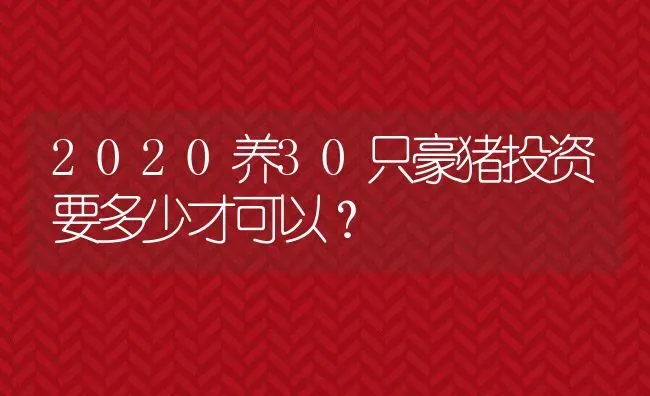 2020养30只豪猪投资要多少才可以？ | 动物养殖百科