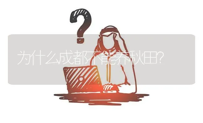 为什么成都不能养秋田？ | 动物养殖问答