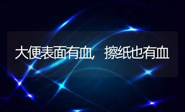 大便表面有血,擦纸也有血 | 宠物百科知识