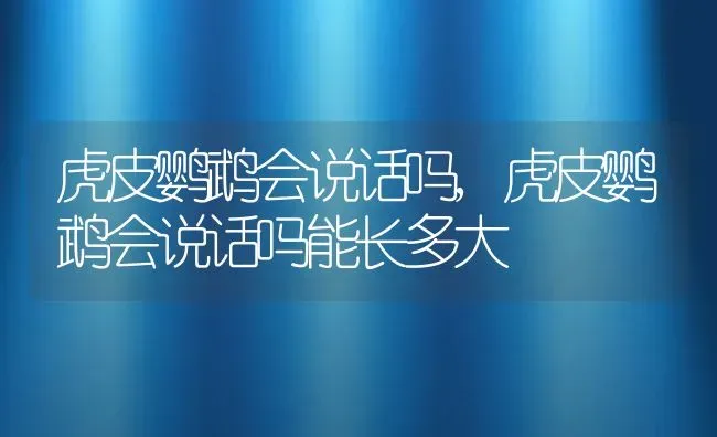 虎皮鹦鹉会说话吗,虎皮鹦鹉会说话吗能长多大 | 宠物百科知识