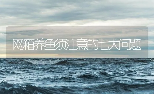 网箱养鱼须注意的七大问题 | 海水养殖技术