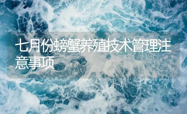 七月份螃蟹养殖技术管理注意事项 | 海水养殖技术