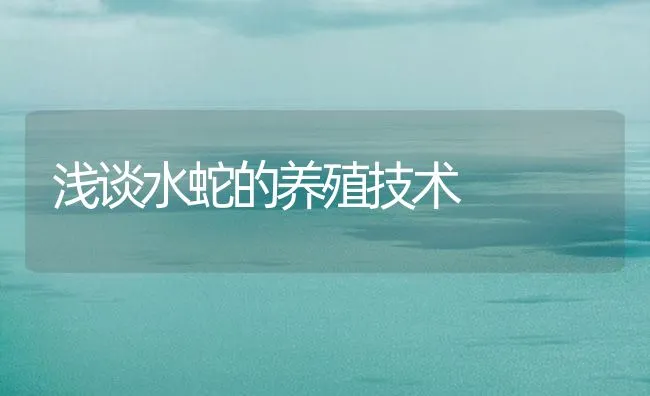 浅谈水蛇的养殖技术 | 海水养殖技术