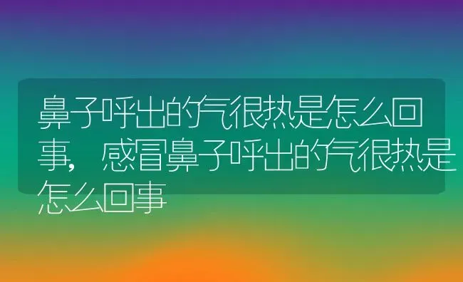 鼻子呼出的气很热是怎么回事,感冒鼻子呼出的气很热是怎么回事 | 宠物百科知识