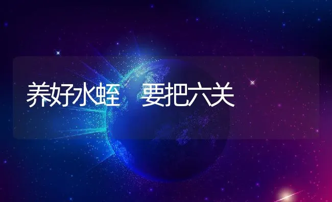 养好水蛭 要把六关 | 动物养殖学堂