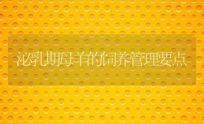 泌乳期母羊的饲养管理要点 | 动物养殖饲料