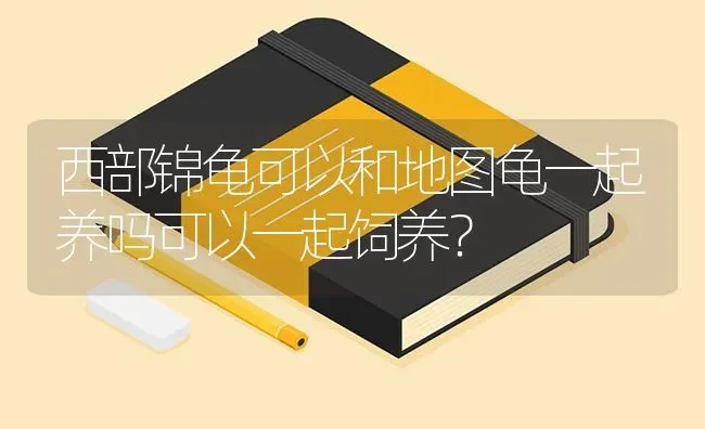 小狗记仇怎么办？ | 动物养殖问答