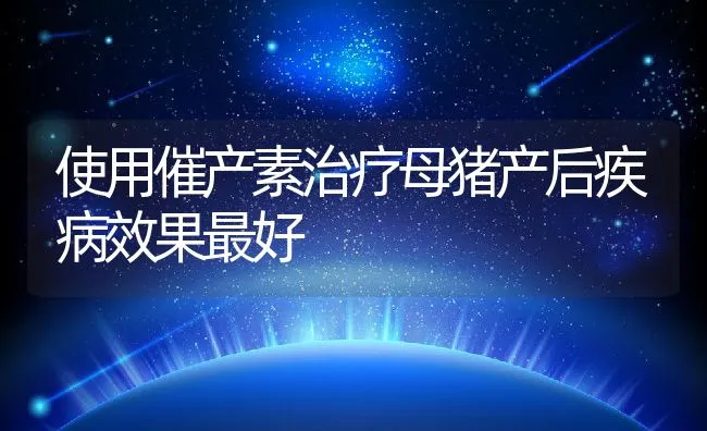 使用催产素治疗母猪产后疾病效果最好 | 动物养殖学堂