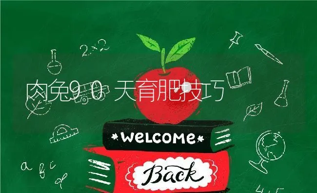 肉兔90天育肥技巧 | 动物养殖学堂