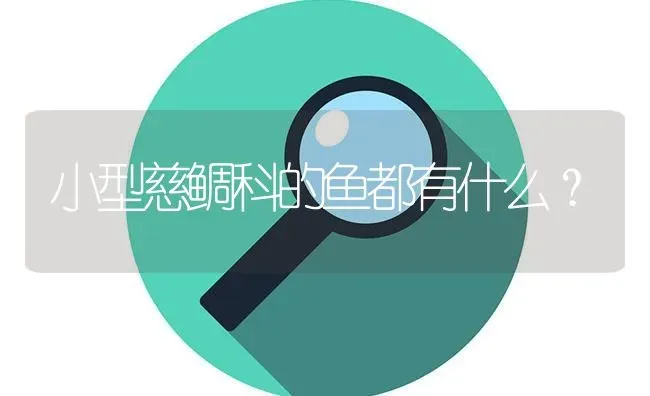 小型慈鲷科的鱼都有什么？ | 鱼类宠物饲养