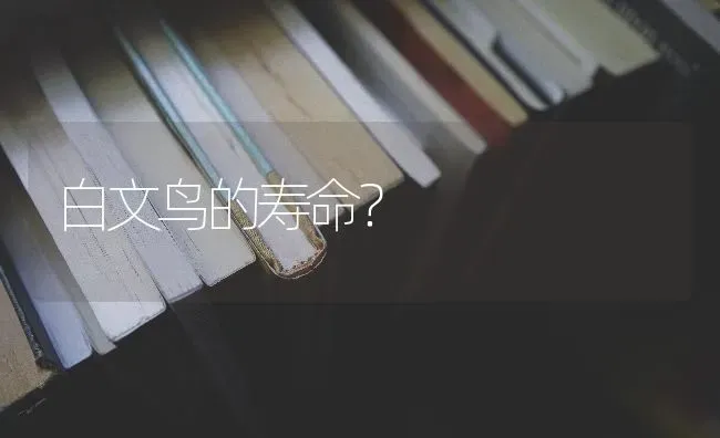 怎么区别老鼠和貂？ | 动物养殖问答