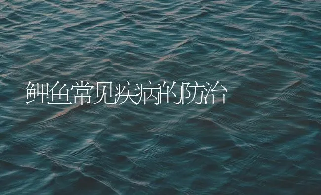 鲤鱼常见疾病的防治 | 海水养殖技术