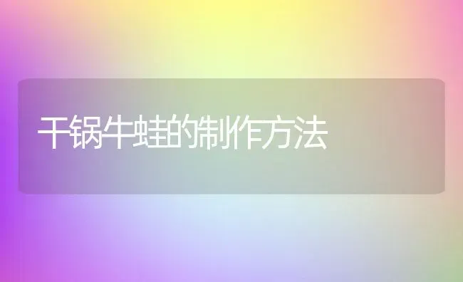 干锅牛蛙的制作方法 | 动物养殖百科