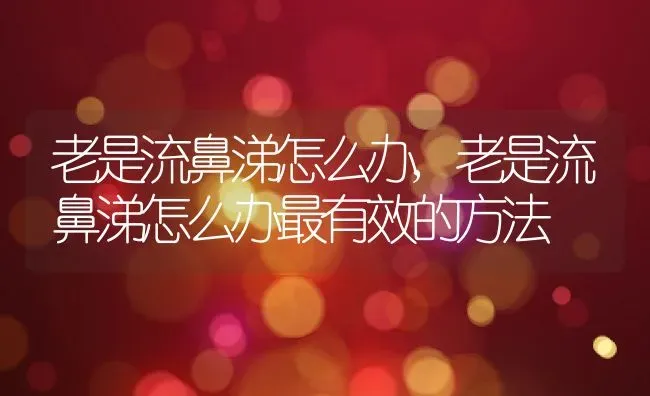 老是流鼻涕怎么办,老是流鼻涕怎么办最有效的方法 | 宠物百科知识