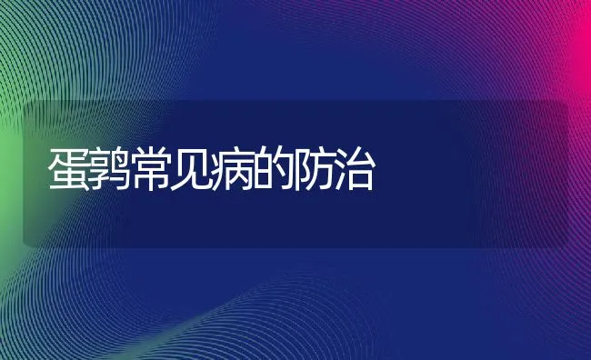 蛋鹑常见病的防治 | 动物养殖学堂