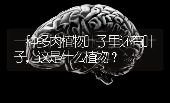 我家猫咪到晚上的某个时间就会到处乱跑，这是为什么啊？ | 动物养殖问答