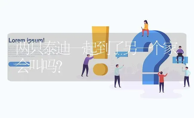 两只泰迪一起到了另一个家会叫吗？ | 动物养殖问答