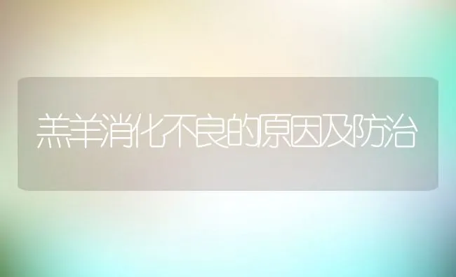 羔羊消化不良的原因及防治 | 动物养殖学堂