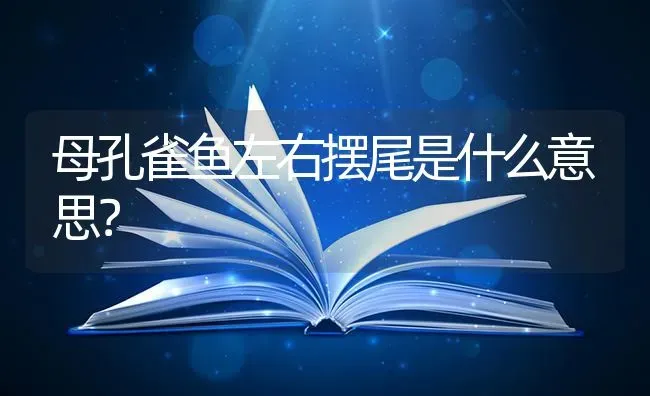 母孔雀鱼左右摆尾是什么意思？ | 鱼类宠物饲养