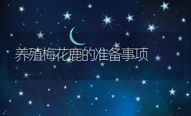 养殖梅花鹿的准备事项 | 动物养殖百科