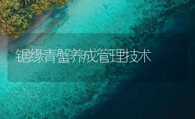 锯缘青蟹养成管理技术 | 海水养殖技术