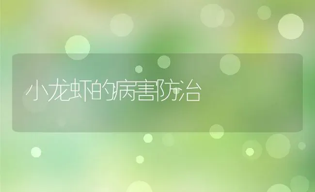 小龙虾的病害防治 | 动物养殖教程