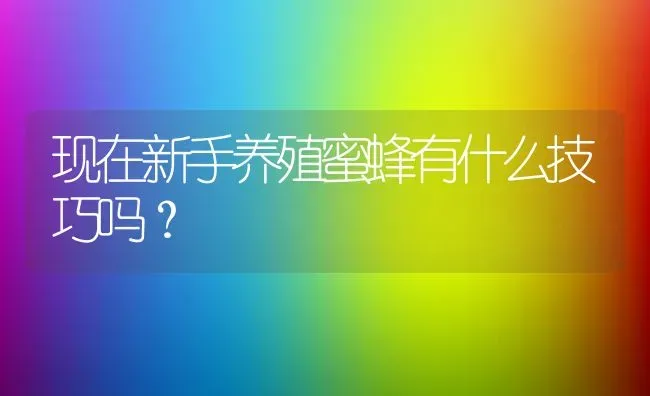 现在新手养殖蜜蜂有什么技巧吗？ | 动物养殖百科