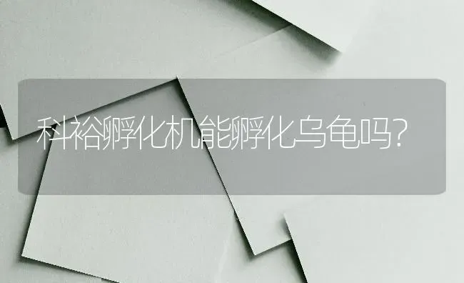 科裕孵化机能孵化乌龟吗？ | 动物养殖问答