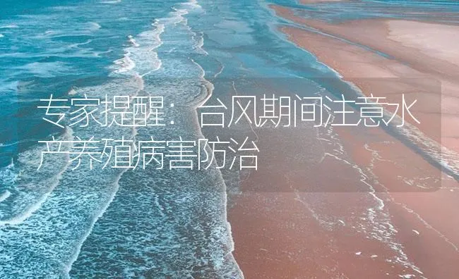 专家提醒：台风期间注意水产养殖病害防治 | 海水养殖技术