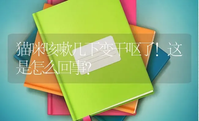 猫咪咳嗽几下变干呕了！这是怎么回事？ | 动物养殖问答