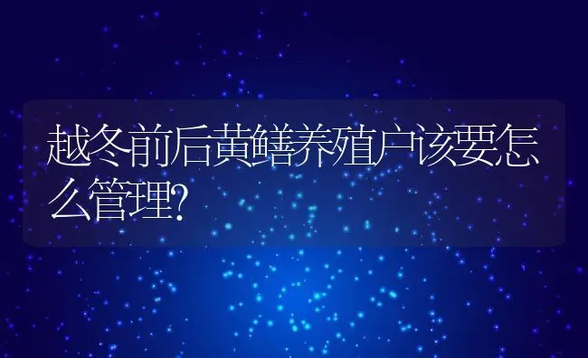 越冬前后黄鳝养殖户该要怎么管理？ | 动物养殖百科