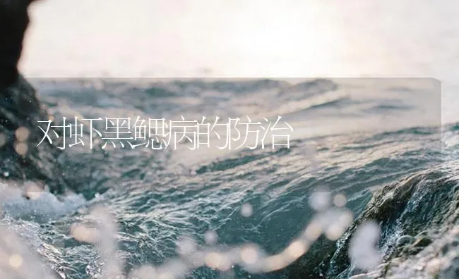 对虾黑鳃病的防治 | 海水养殖技术