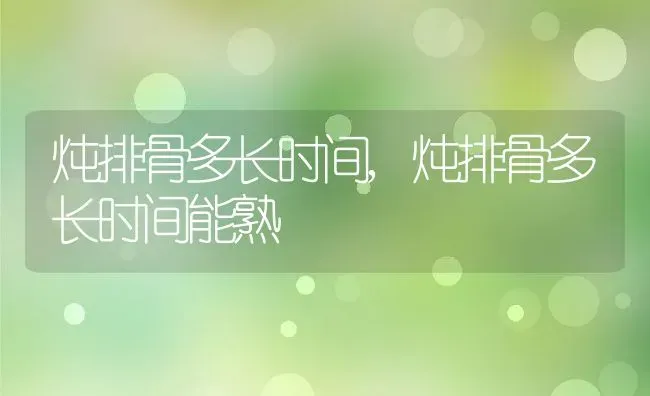 炖排骨多长时间,炖排骨多长时间能熟 | 宠物百科知识