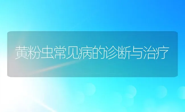 黄粉虫常见病的诊断与治疗 | 水产养殖知识