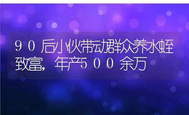 90后小伙带动群众养水蛭致富，年产500余万 | 动物养殖百科